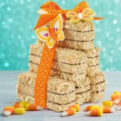 Top 10 🛒 Decorative Straw Bales by Ashland® 🔥 -Michaels Store 10322651 15