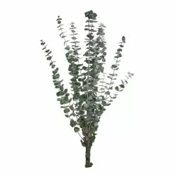 Coupon 🤩 Ashland® Eucalyptus Bunch, 4 oz. 🔥