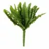 Top 10 ⭐ Ashland® Fern Collection Mini Boston Fern Bush 😍 1 Top 10 ⭐ Ashland® Fern Collection Mini Boston Fern Bush 😍 -Michaels Store 10335158