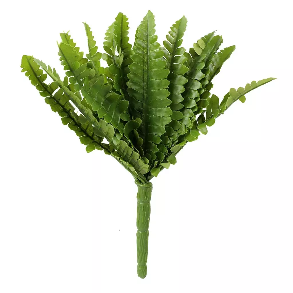 Top 10 ⭐ Ashland® Fern Collection Mini Boston Fern Bush 😍 3 Top 10 ⭐ Ashland® Fern Collection Mini Boston Fern Bush 😍