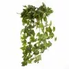 Cheapest ✨ German Ivy Bush Ivy Collection by Ashland® ✔️ -Michaels Store 10335273 01
