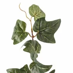 Cheapest ✨ German Ivy Bush Ivy Collection by Ashland® ✔️ -Michaels Store 10335273 20