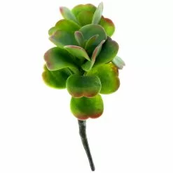 Buy ✔️ Green & Orange Succulent Pick by Ashland® 😉