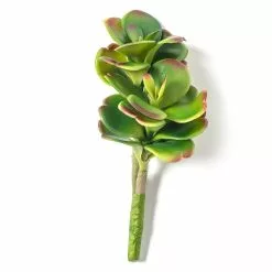 Buy ✔️ Green & Orange Succulent Pick by Ashland® 😉 -Michaels Store 10337814 21