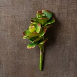 Buy ✔️ Green & Orange Succulent Pick by Ashland® 😉 -Michaels Store 10337814 25