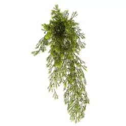 Best deal ❤️ Springeri Bush Fern Collection by Ashland® 😀 9 Best deal ❤️ Springeri Bush Fern Collection by Ashland® 😀 -Michaels Store 10339547 01