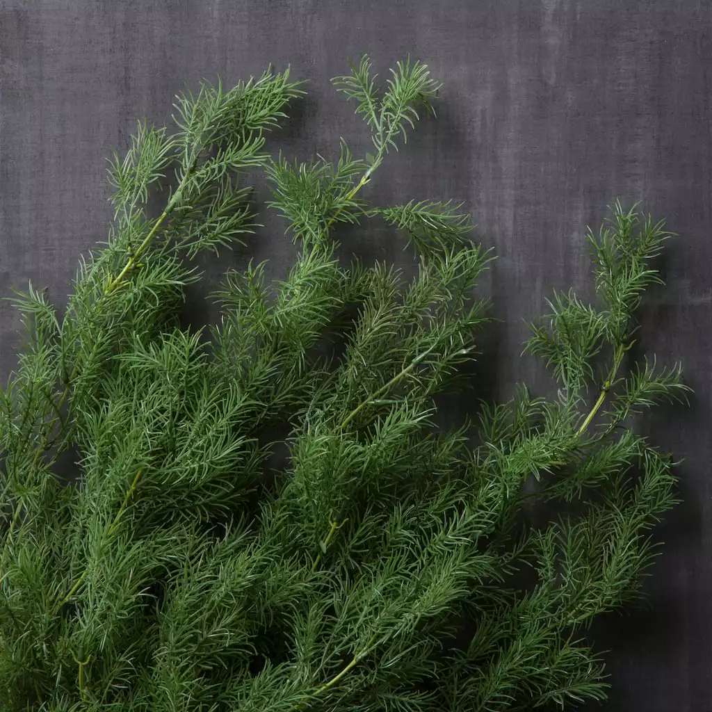 Best deal ❤️ Springeri Bush Fern Collection by Ashland® 😀 4 Best deal ❤️ Springeri Bush Fern Collection by Ashland® 😀 - Image 2