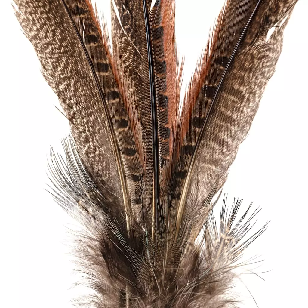 Budget ✔️ Pheasant Feather Picks by Ashland® 💯 5 Budget ✔️ Pheasant Feather Picks by Ashland® 💯 - Image 3