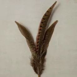 Budget ✔️ Pheasant Feather Picks by Ashland® 💯 9 Budget ✔️ Pheasant Feather Picks by Ashland® 💯 -Michaels Store 10355706 25