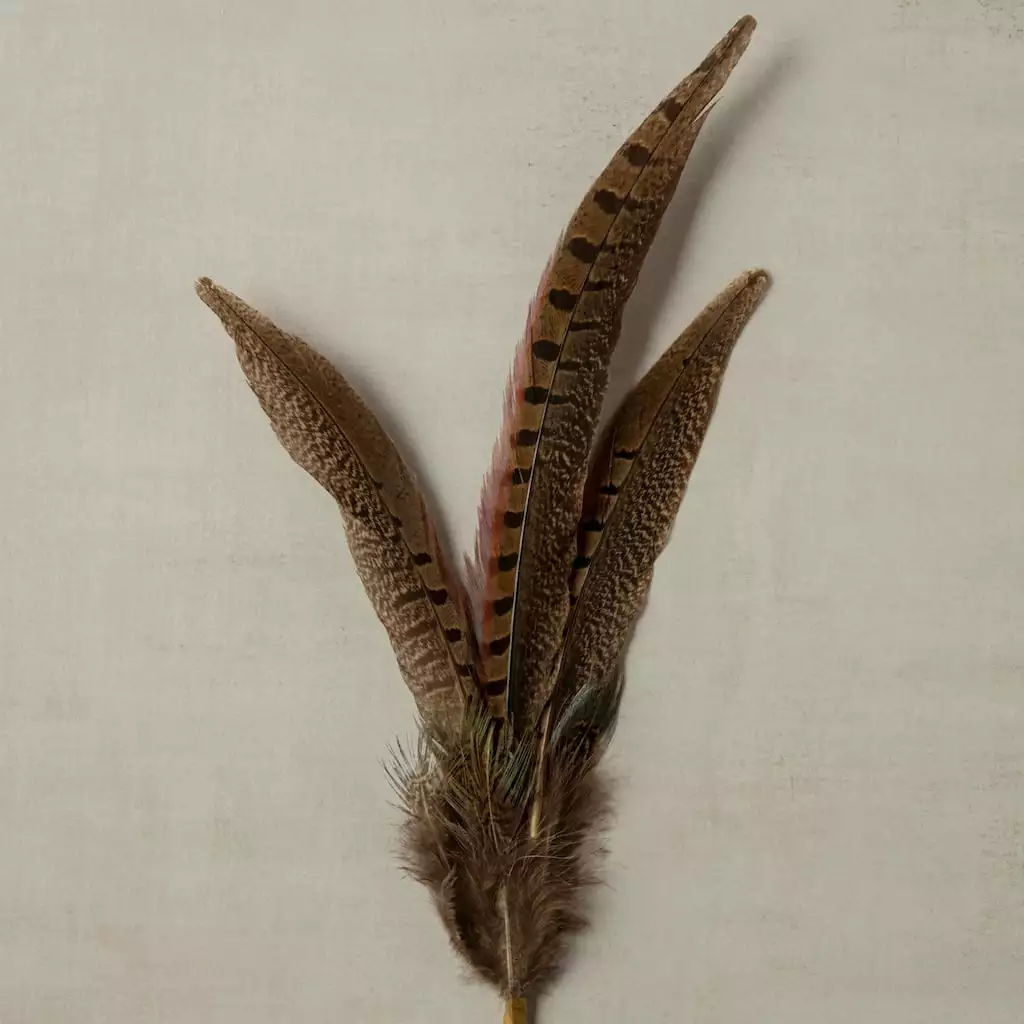 Budget ✔️ Pheasant Feather Picks by Ashland® 💯 6 Budget ✔️ Pheasant Feather Picks by Ashland® 💯 - Image 4