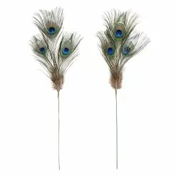 Promo ⌛ Peacock Feather Picks by Ashland® 🔥
