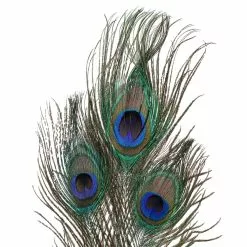 Promo ⌛ Peacock Feather Picks by Ashland® 🔥 -Michaels Store 10355707 20