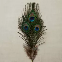 Promo ⌛ Peacock Feather Picks by Ashland® 🔥 -Michaels Store 10355707 25