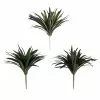 Cheapest 🎉 12 Pack: Assorted Cordyline Bush by Ashland® ❤️ 1 Cheapest 🎉 12 Pack: Assorted Cordyline Bush by Ashland® ❤️ -Michaels Store 10356827 1