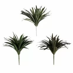 Cheapest 🎉 12 Pack: Assorted Cordyline Bush by Ashland® ❤️
