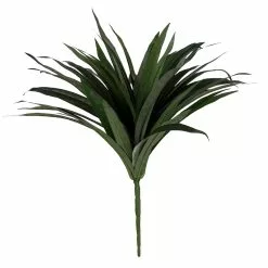 Budget 🎉 Assorted Cordyline Bush by Ashland® ❤️ -Michaels Store 10356827 2