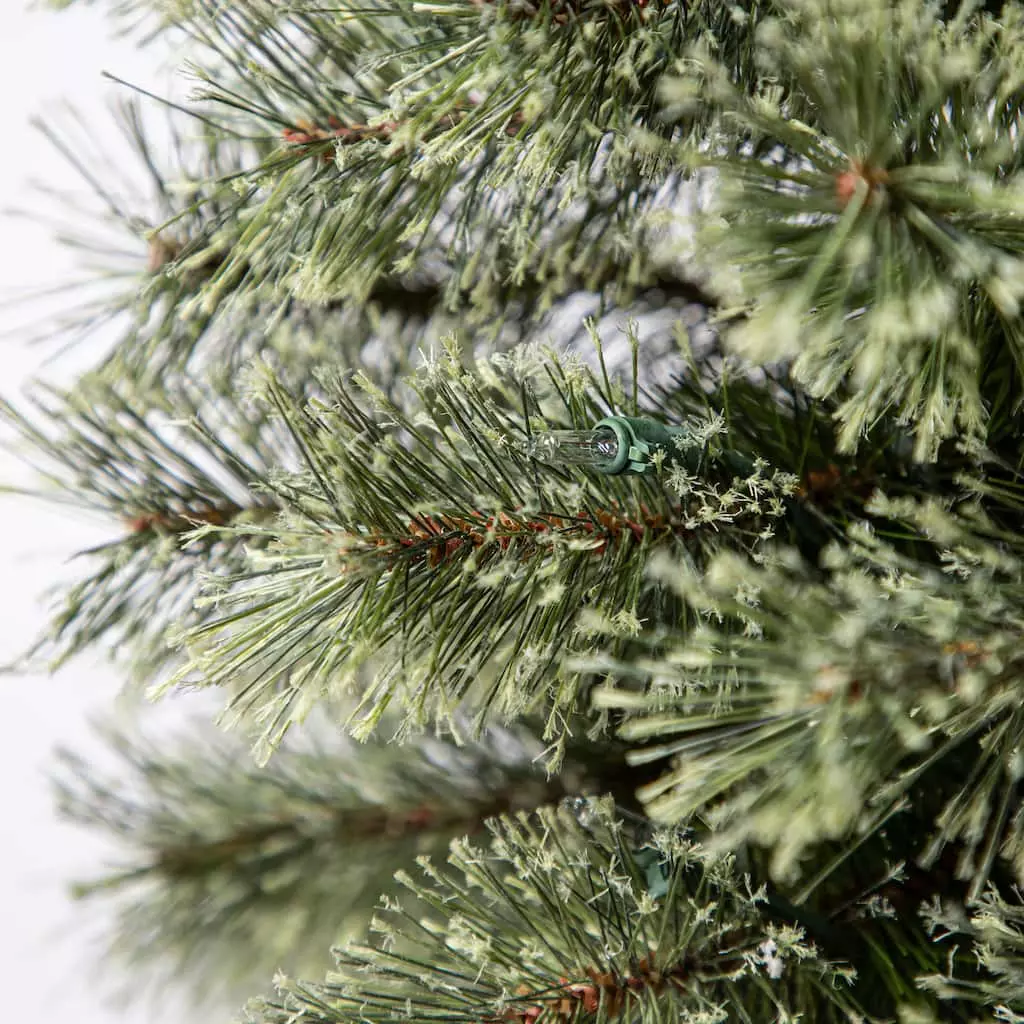 Wholesale ❤️ 7ft. Pre-Lit Artificial Cashmere Pencil 😍 Christmas Tree, Clear Lights by Ashland® ⭐ 7 Wholesale ❤️ 7ft. Pre-Lit Artificial Cashmere Pencil 😍 Christmas Tree, Clear Lights by Ashland® ⭐ - Image 5