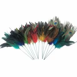 New ✨ Assorted Colorful Feather Pick by Ashland® 😍