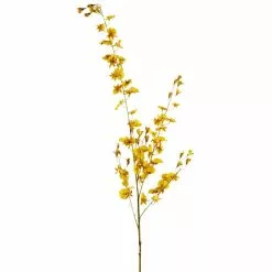 Wholesale 😀 Dancing Orchid by Ashland® 🥰 -Michaels Store 10381029 1