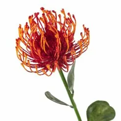 Hot Sale 🌟 Tropical Needle Protea Spray by Ashland® 🧨 -Michaels Store 10381033 20