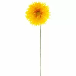 Deals โ 12 Pack: Yellow Spider Gerber Daisy Stem by Ashland® ๐ฏ