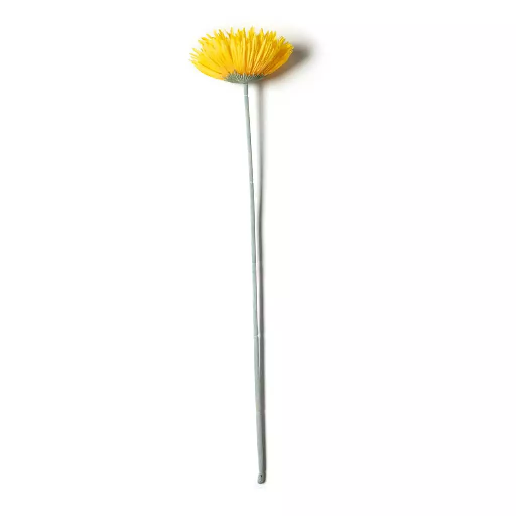 Buy 🛒 Jumbo Spider Gerber Daisy Stem by Ashland® 👏 3 Buy 🛒 Jumbo Spider Gerber Daisy Stem by Ashland® 👏