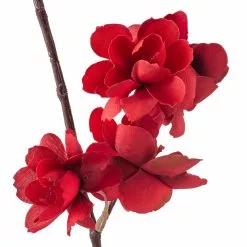 Flash Sale 🥰 Red Apple Blossom Branch Stem by Ashland® ⌛ -Michaels Store 10400684 20