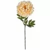 New ✔️ 12 Pack: Cream Peony Stem by Ashland® 👏 1 New ✔️ 12 Pack: Cream Peony Stem by Ashland® 👏 -Michaels Store 10402091 1