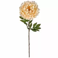 New โ๏ธ 12 Pack: Cream Peony Stem by Ashland® ๐