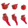 Budget 😉 Red Cardinal Set by Ashland® 😀 -Michaels Store 10407691 1
