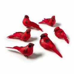 Budget 😉 Red Cardinal Set by Ashland® 😀 -Michaels Store 10407691 21