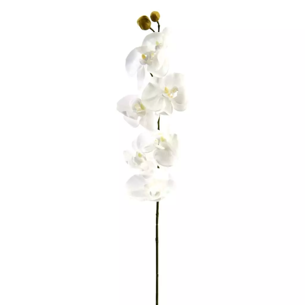 Brand new 🌟 Phaleanopsis Orchid by Ashland® 💯 3 Brand new 🌟 Phaleanopsis Orchid by Ashland® 💯