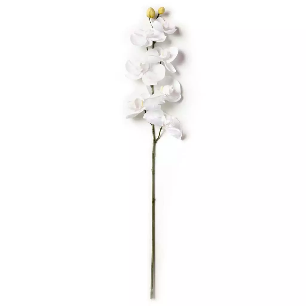 Brand new 🌟 Phaleanopsis Orchid by Ashland® 💯 6 Brand new 🌟 Phaleanopsis Orchid by Ashland® 💯 - Image 4
