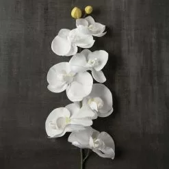 Brand new 🌟 Phaleanopsis Orchid by Ashland® 💯 8 Brand new 🌟 Phaleanopsis Orchid by Ashland® 💯 -Michaels Store 10413038 25
