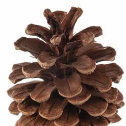 Wholesale ✨ Pinecone Bag by Ashland® 🎉 -Michaels Store 10424644 20