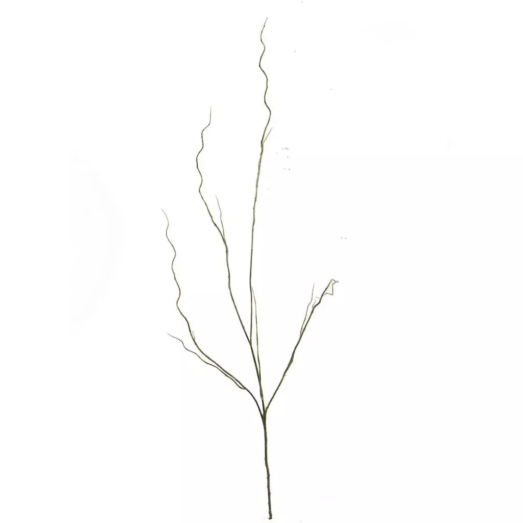 Flash Sale ❤️ Tropical Twig Branch by Ashland® ✔️ 6 Flash Sale ❤️ Tropical Twig Branch by Ashland® ✔️ - Image 4