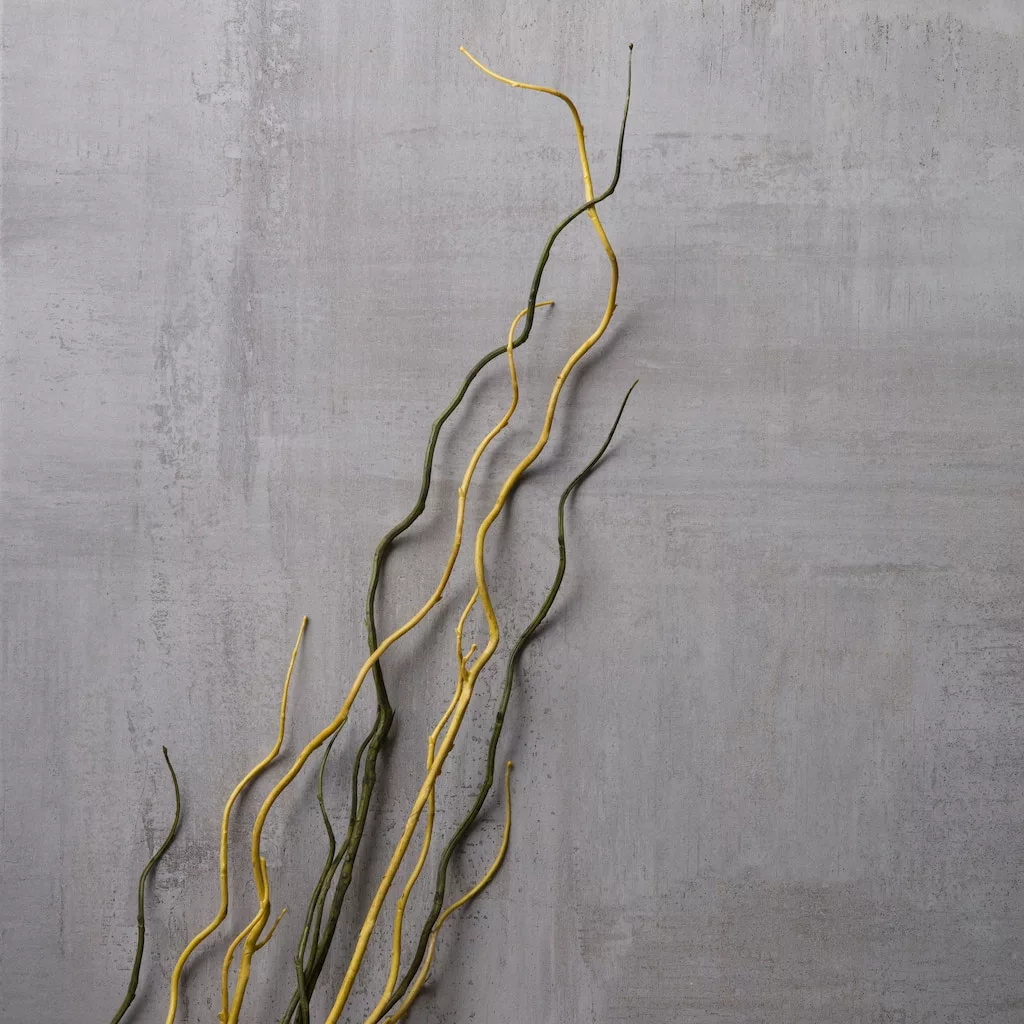 Flash Sale ❤️ Tropical Twig Branch by Ashland® ✔️ 4 Flash Sale ❤️ Tropical Twig Branch by Ashland® ✔️ - Image 2