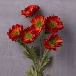 Discount ⭐ Rust Daisy Mum Stem by Ashland® 🔔 -Michaels Store 10430309 22