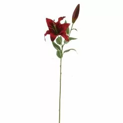 Wholesale 💯 12 Pack: Red Casablanca Lily Stem by Ashland® 🎉