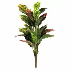 Budget ✨ Croton Bush Classic Greenery by Ashland® 🛒