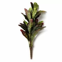 Budget ✨ Croton Bush Classic Greenery by Ashland® 🛒 -Michaels Store 10430898 21