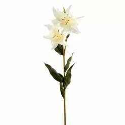 Coupon ✔️ White Lily Stem by Ashland Classic Traditions™ ❤️ 9 Coupon ✔️ White Lily Stem by Ashland Classic Traditions™ ❤️ -Michaels Store 10450085 1