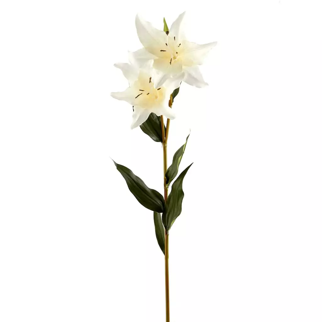 Coupon ✔️ White Lily Stem by Ashland Classic Traditions™ ❤️ 6 Coupon ✔️ White Lily Stem by Ashland Classic Traditions™ ❤️ - Image 4