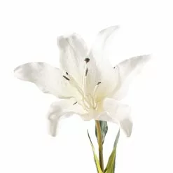 Coupon ✔️ White Lily Stem by Ashland Classic Traditions™ ❤️ 8 Coupon ✔️ White Lily Stem by Ashland Classic Traditions™ ❤️ -Michaels Store 10450085 20
