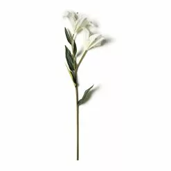 Coupon ✔️ White Lily Stem by Ashland Classic Traditions™ ❤️