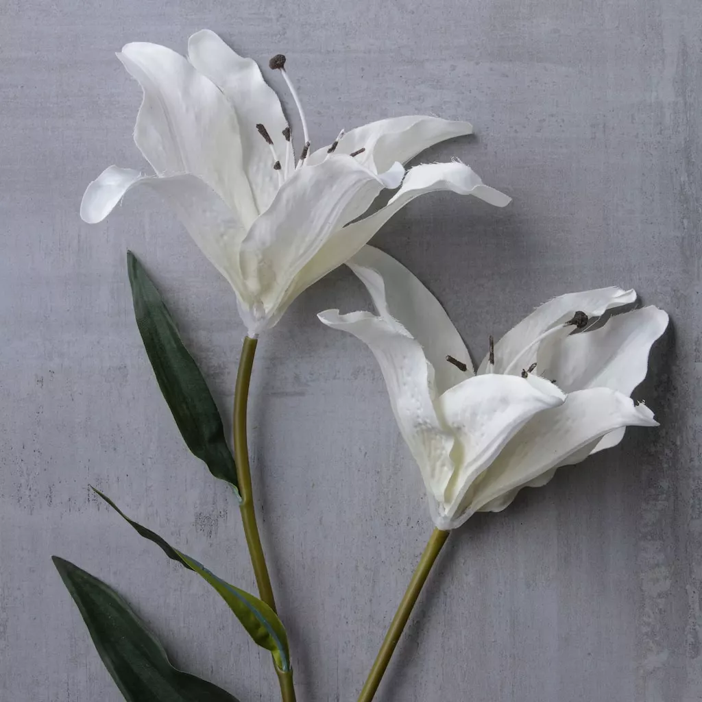 Coupon ✔️ White Lily Stem by Ashland Classic Traditions™ ❤️ 4 Coupon ✔️ White Lily Stem by Ashland Classic Traditions™ ❤️ - Image 2
