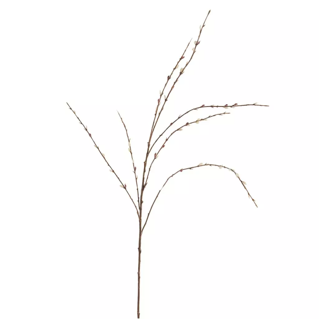 Flash Sale ✨ Pussy Willow Stem by Ashland® 👏 6 Flash Sale ✨ Pussy Willow Stem by Ashland® 👏 - Image 4
