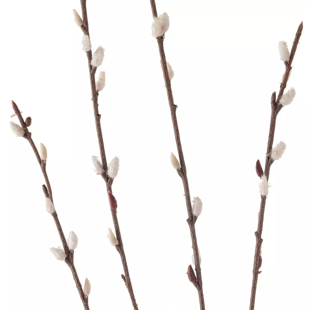 Flash Sale ✨ Pussy Willow Stem by Ashland® 👏 5 Flash Sale ✨ Pussy Willow Stem by Ashland® 👏 - Image 3