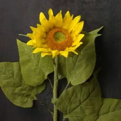 Flash Sale ❤️ Sunflower Stem by Ashland® 🥰 -Michaels Store 10450424 22
