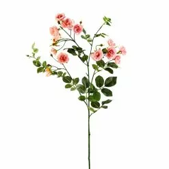 Budget 🎉 12 Pack: Pink Kate Rose Spray by Ashland® ⌛